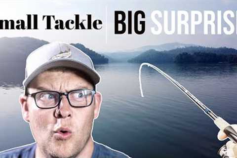HUGE fish on small tackle (Watauga Lake Tn)
