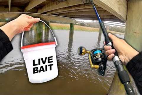 Fishing UNDER Docks.. Eating Whatever I Catch (Catch and Cook)