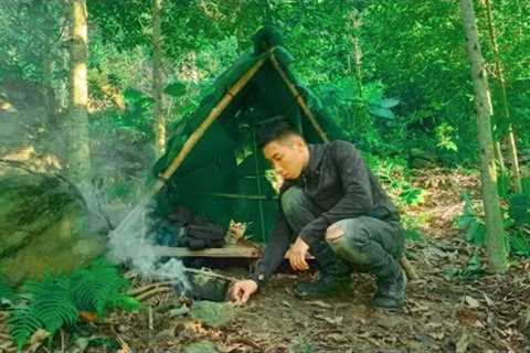 7 Days of solo Survival - Build a Shelter in the Deserted Forest - Camp Food From Natural Herbs
