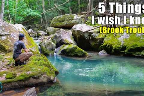 Fly Fishing for Beginners || 5 Things I Wish I Knew When I Started Brook Trout Fishing!