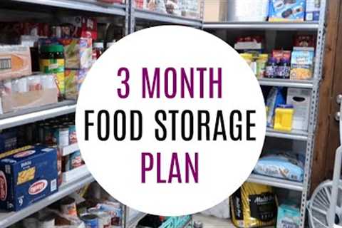 HOW TO PREPARE A 3 MONTH STOCKPILE SUPPLY NOW!!!!