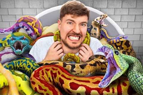 Would You Sit In Snakes For $10,000?