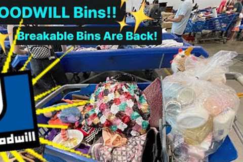 Let’s Go To Goodwill Bins! I Made A Mistake! 😢&amp; Breakable Bins Are Back! Thrift With Me