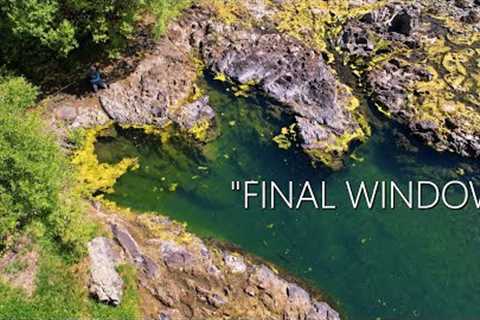 BIG BROWN TROUT: 'FINAL WINDOW' - Fly Fishing Low, Clear Water BEFORE the SUMMER DROUGHT