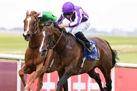 CONTINUOUS sets up autumn campaign with Royal Whip victory