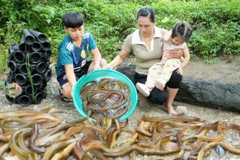 How to trap eels to sell at the market &amp; Cook nutritious eel porridge for children