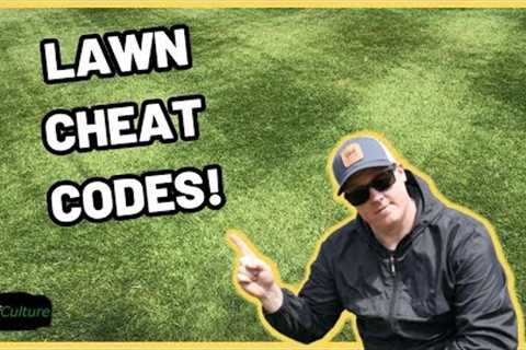 Spring Lawn Care // What To Do FIRST?