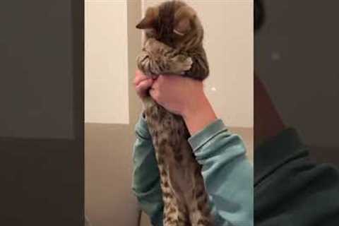 Daily Compilation of Internet | TikTok Viral Videos #shorts #ytshorts #viral
