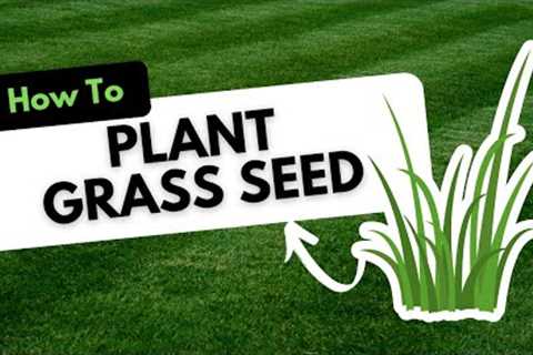 How to Plant Grass Seed