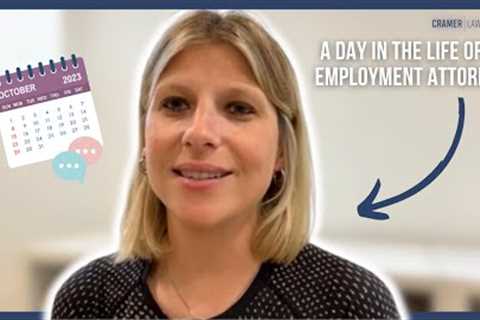 A Day in the Life of an Employment Attorney ⚖️ Amy Cramer