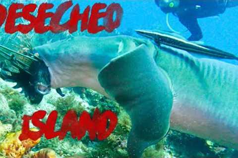 Scuba Diving Most Dangerous Island in Caribbean in 4K - Desecheo Island Off Rincón, Puerto Rico