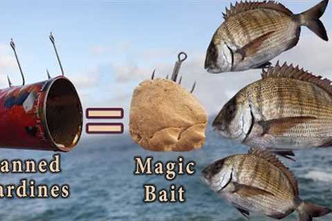 How To Make Magic Bait (Less Than 1$) With Canned Sardines - #Catch-More-Fish