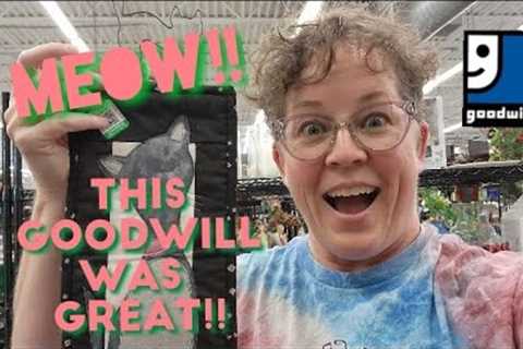 Meow! This Goodwill was Great!! - Shop Along With Me - Goodwill Thrift Store
