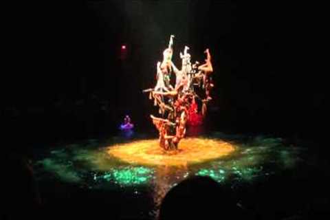 Le Rеve THE DREAM Show in Las Vegas (2015)