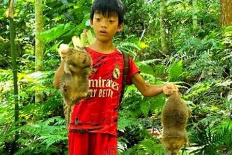 Bac's survival skills, the technique of catching bamboo rats in the forest, forest banana harvest.