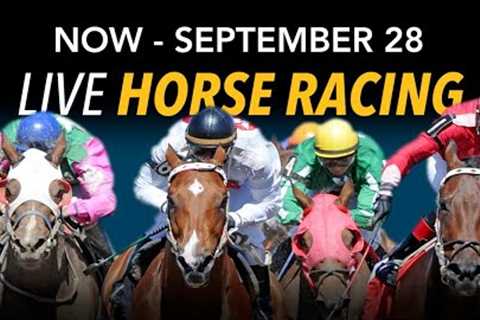 August 18, 2024 Live Horse Racing at Prairie Meadows