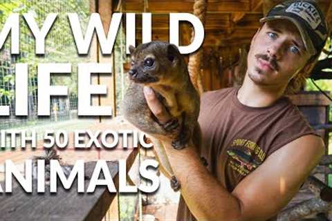 How I Take Care of 50+ Exotic Animals