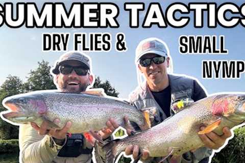 Still Water Summer Tactics! Dry Flies &amp; Sight Fishing | RockBourne Trout Fishery | Fly Fishing