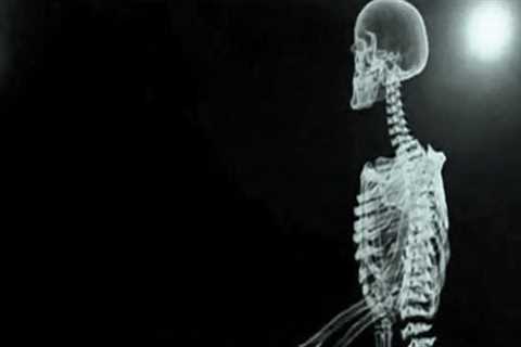 New technology teaches medical students anatomy - Johns Hopkins University