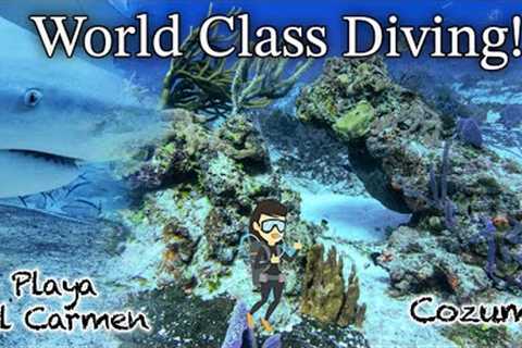 World's Best Scuba Diving Destinations - Cozumel and Playa del Carmen, Mexico