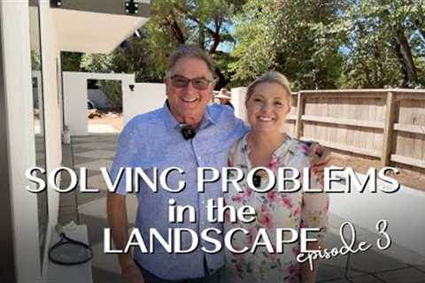 Dealing with Drainage Issues and Controlling Erosion! 🫣 Solving Problems in the Landscape