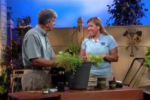 Central Florida Gardening - Creating a Container Garden