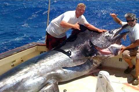 Amazing Fastest Giant Bluefin Tuna and Swordfish Fishing skill - Most Satisfying Sea Fishing Videos