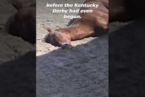 The Horse Death Toll at Churchill Downs #shortsyoutube