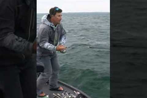 Chris Johnston fighting for Angler of the Year