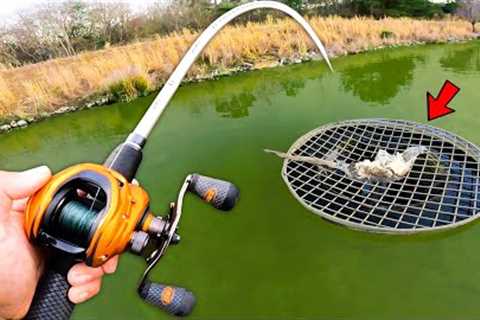 Fishing The BEST Bass Lake In The WORLD! (LOADED)