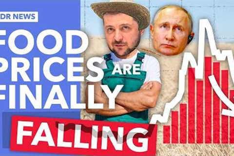 Is the Global Food Crisis Over?
