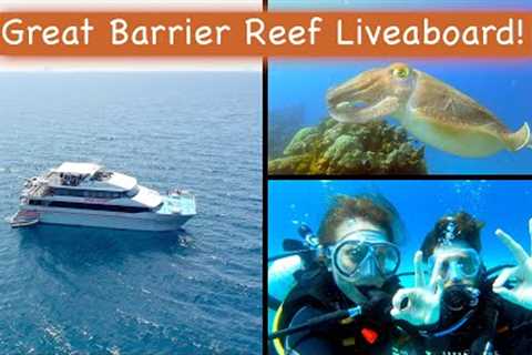 Scuba Diving the GREAT BARRIER REEF Australia | Liveaboard Tour