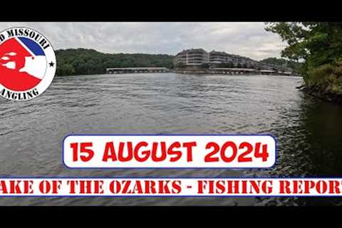 Lake of the Ozarks Bass Fishing - 15 Aug 2024 | Fishing report