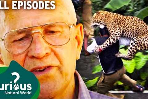 REAL Wild Attack Situations From Exotic Pet Keepers | Full Episodes | Curious?: Natural World