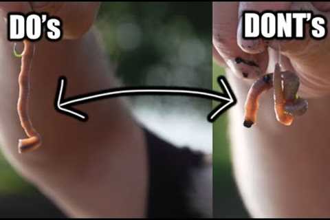 How to Hook a Worm for Fishing (Fishing Tip)