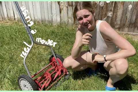 How to Use a Reel Mower | Sharpen, Lube &amp; Adjust