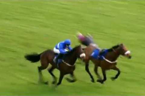 Horseracing thrills &amp; spills compilation