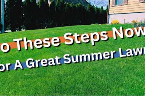 SPRING LAWN TIPS FOR PERFECT SUMMER GRASS!! prepare for the that summer stress NOW!!