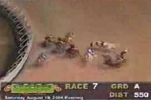 GREYHOUND DISASTER