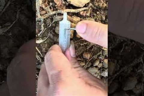 How to create an automatic water tap #survival #outdoors #camping #bushcraft #forest #life #skills