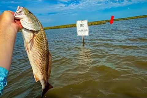 The EASIEST Way to Catch LIMITS of REDFISH (CATCH/CLEAN/COOK)