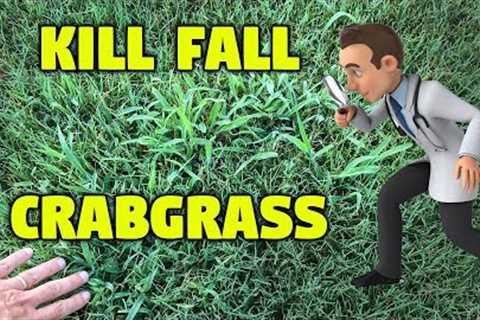Kill Fall Crabgrass - Lawn Care