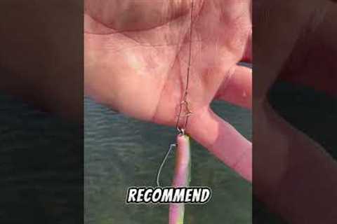 The Best Way To Fish A Texas Rig For Bass! #fishing #bassfishing