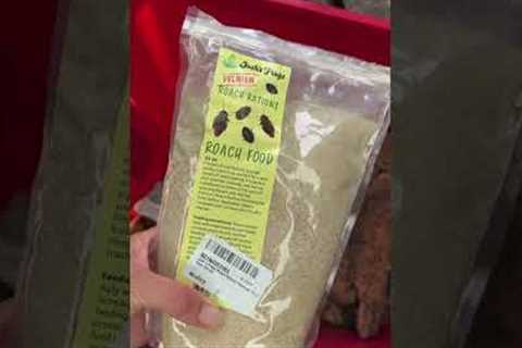 August Amazon Finds for Reptile / Pet Care Part 1