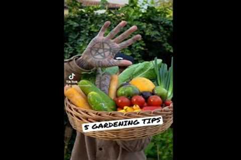 Top 5 gardening hacks! #shorts #short #gardening #gardeningtips #gardening