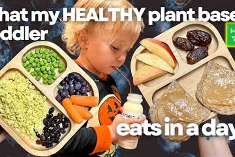what my HEALTHY plant based toddler eats in a day 👧🏻🥦