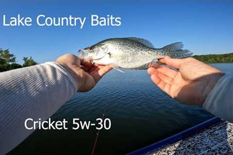 Best Baits Brush Pile Fishing Kerr Lake