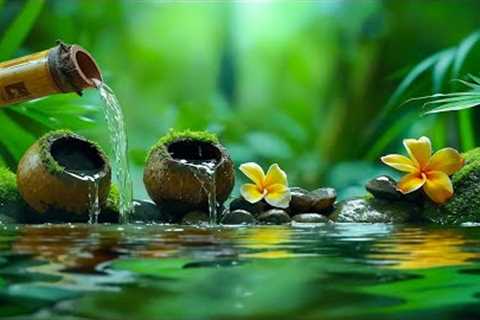 Relaxing Sleep Music with Bamboo Water Fountain | Reduce Stress, Anxiety &amp; Depression #8