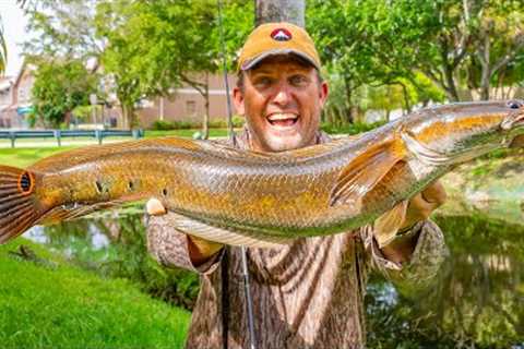 Fishing Urban Canals for Epic Eating Fish {Catch Clean Cook} super INVASIVE