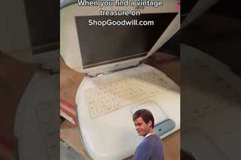 Vintage Finds on ShopGoodwill.com